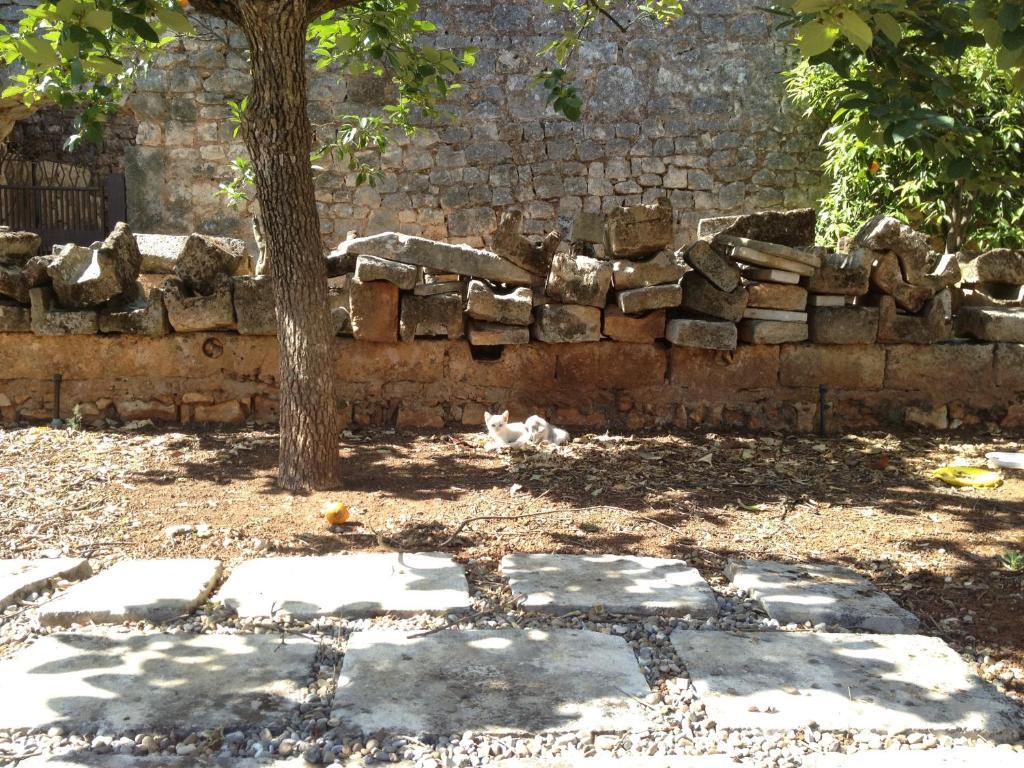Вилла Masseria Casamassima Agriturismo Остуни Экстерьер фото